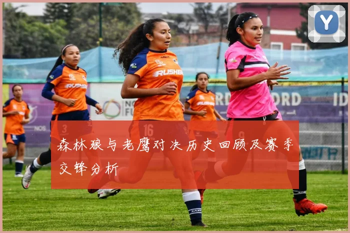 森林狼与老鹰对决历史回顾及赛季交锋分析