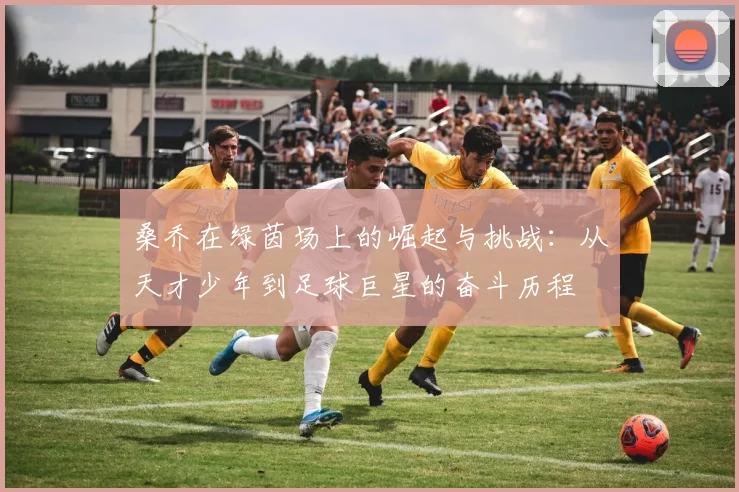 桑乔在绿茵场上的崛起与挑战：从天才少年到足球巨星的奋斗历程
