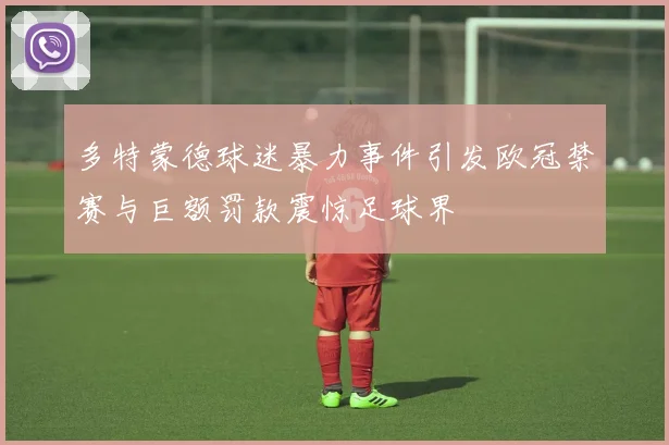 多特蒙德球迷暴力事件引发欧冠禁赛与巨额罚款震惊足球界